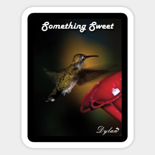 Hummingbird Sticker